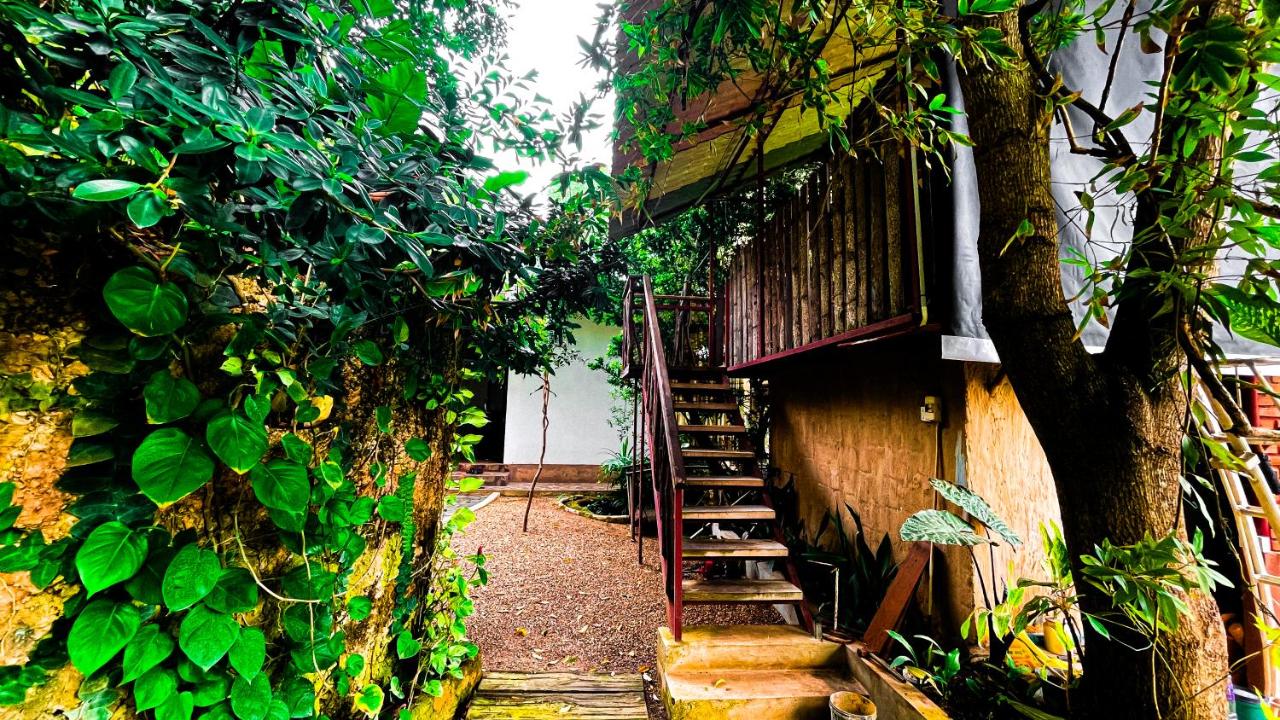 Yala Savanna Leopard Lodge - B&B Hambantota