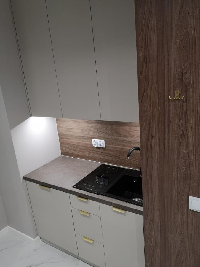 Targowa Premium Loft Warsaw National Stadium - Ferienwohnung Warschau