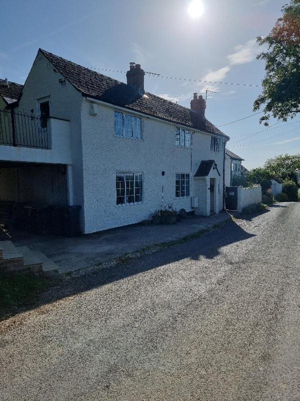 Castle View Cottage stunning views and private woodland - B&B Whitchurch Canonicorum