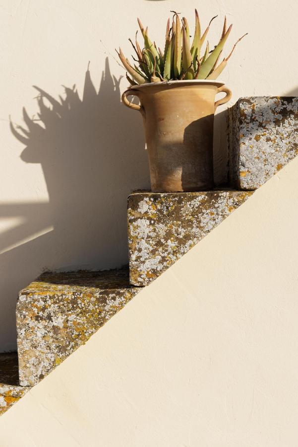 Palazzo Ornella - B&B Galatina