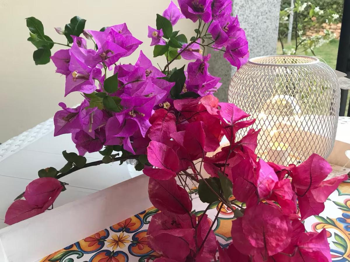 La Veranda - B&B San Teodoro