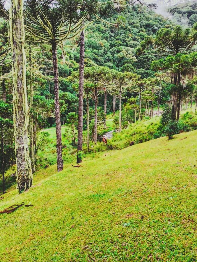 Casa Bugres - Rio dos Bugres - 1 Quarto Familiar - B&B Urubici