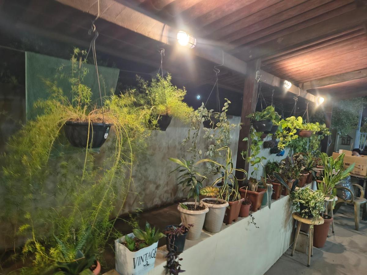 Suíte Morada das Mangueiras Térreo - B&B Soure