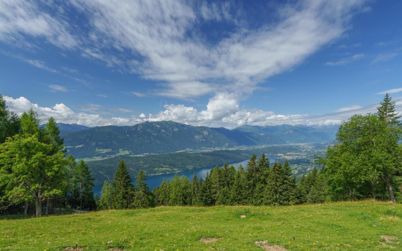 Götzfried-Almhütte - Alleinlage mit Panoramablick am Millstätter See - B&B Spittal an der Drau