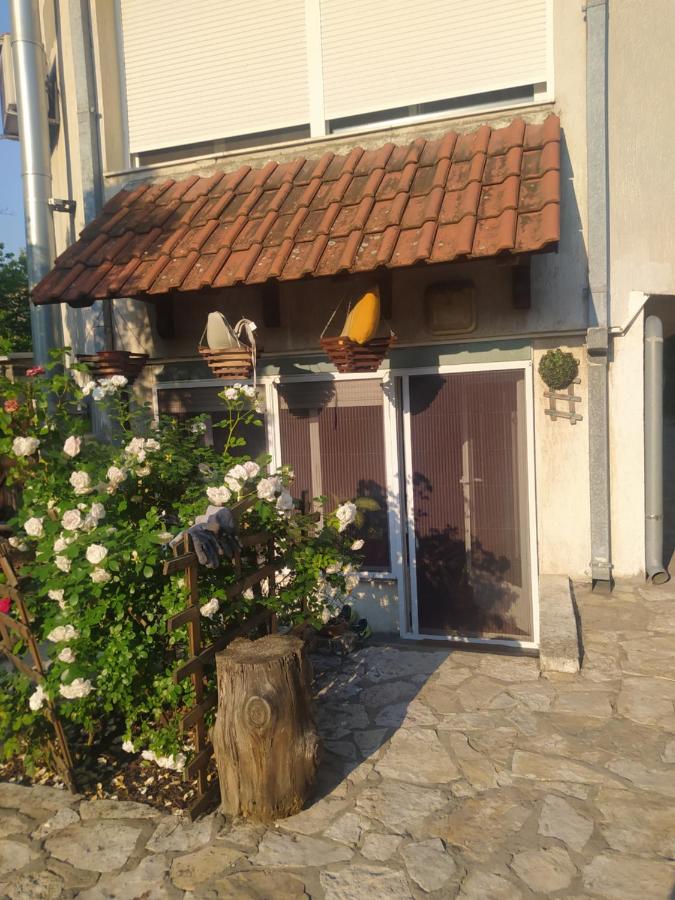 Paws & Pines Hideaway - B&B Belgrado