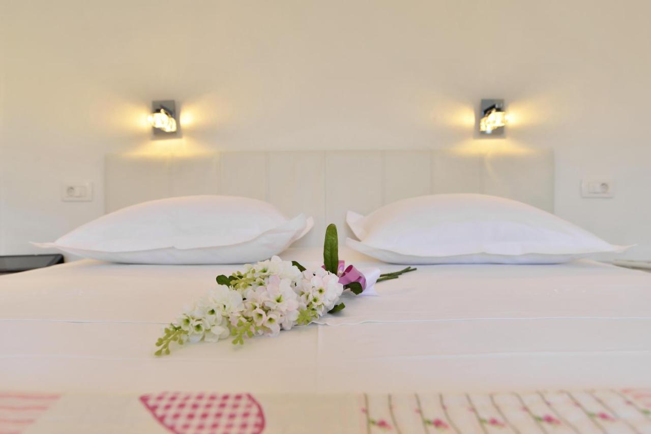 Villa 1 Chambre