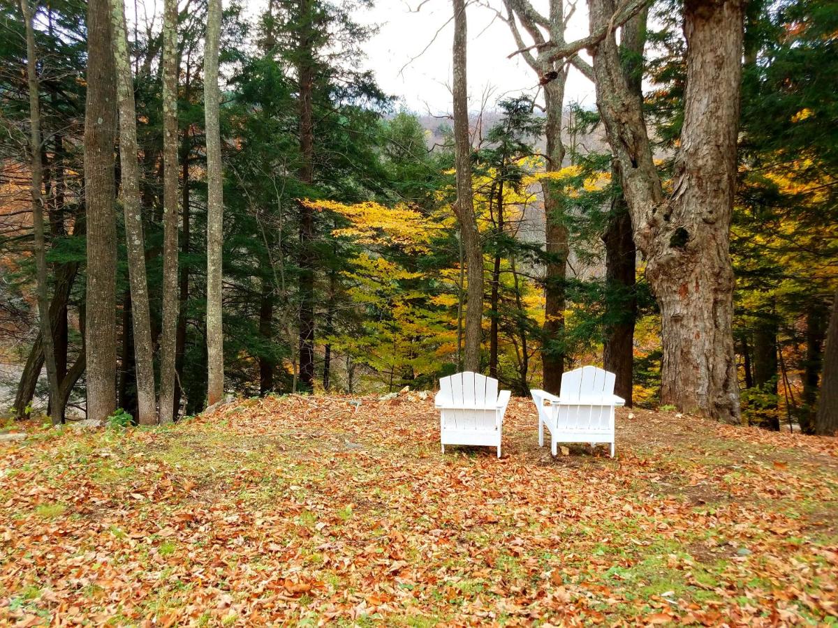 Black Bear Lodge - Chambres d’hôtes Prattsville