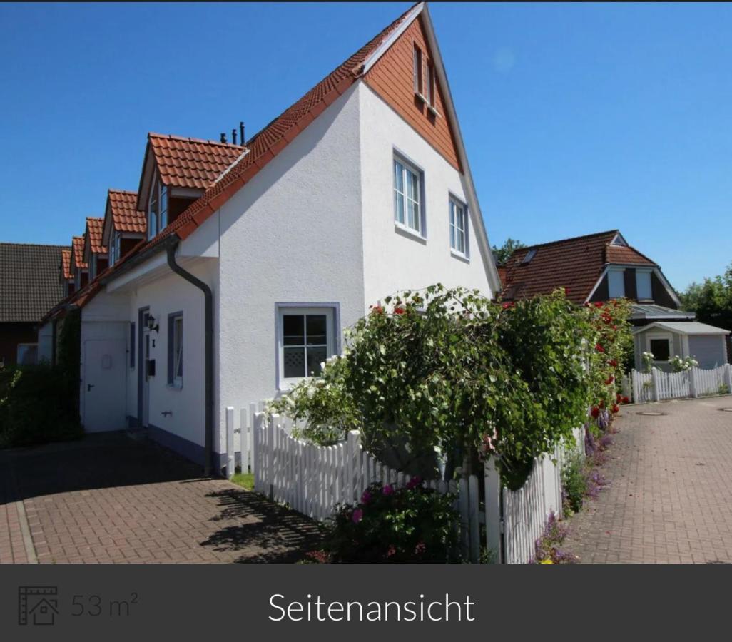 ToNi`s Kegelrobbe - B&B Cuxhaven