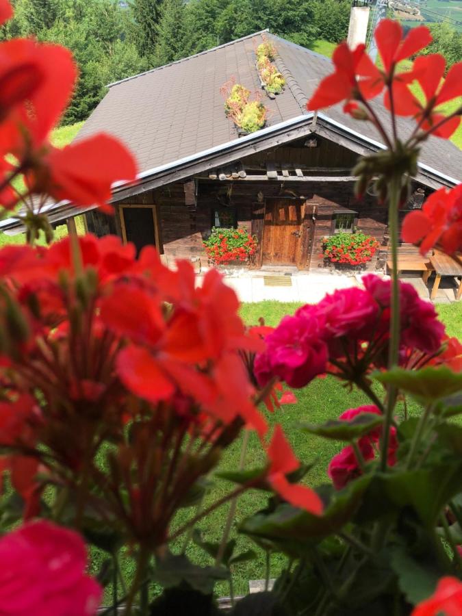 Wölzenberg Alm - Ferienwohnung Reith im Alpbachtal