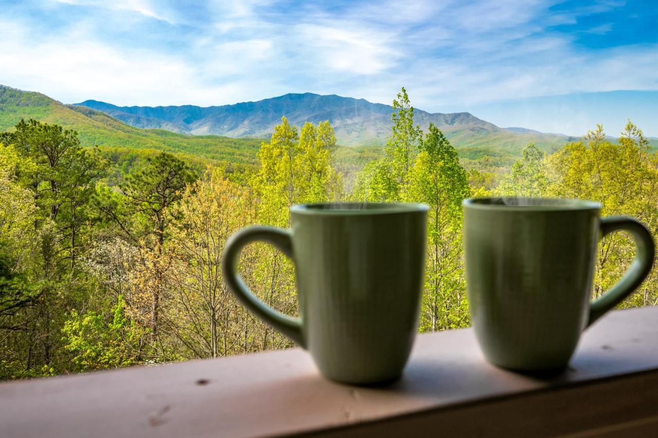 Bearded Bear Lodge - Ferienwohnung Gatlinburg