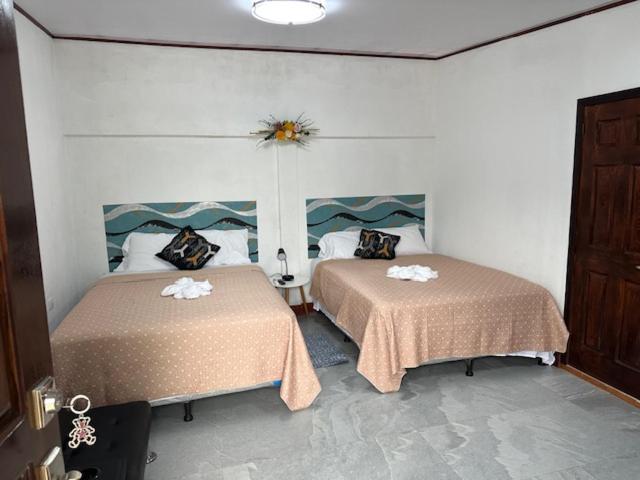 Virginia's apartaments - B&B Omoa