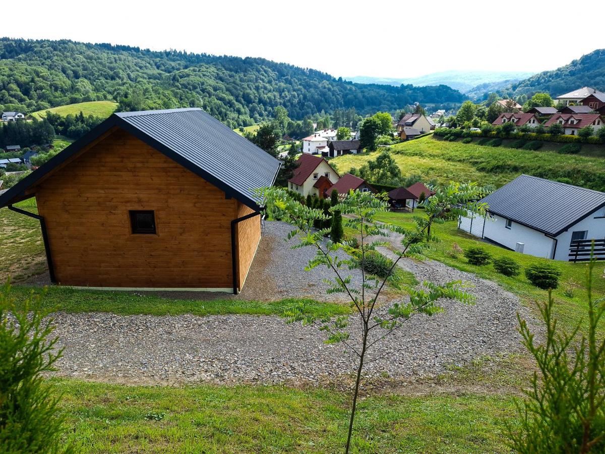 Domek Malinowy - Chambres d’hôtes Wołkowyja