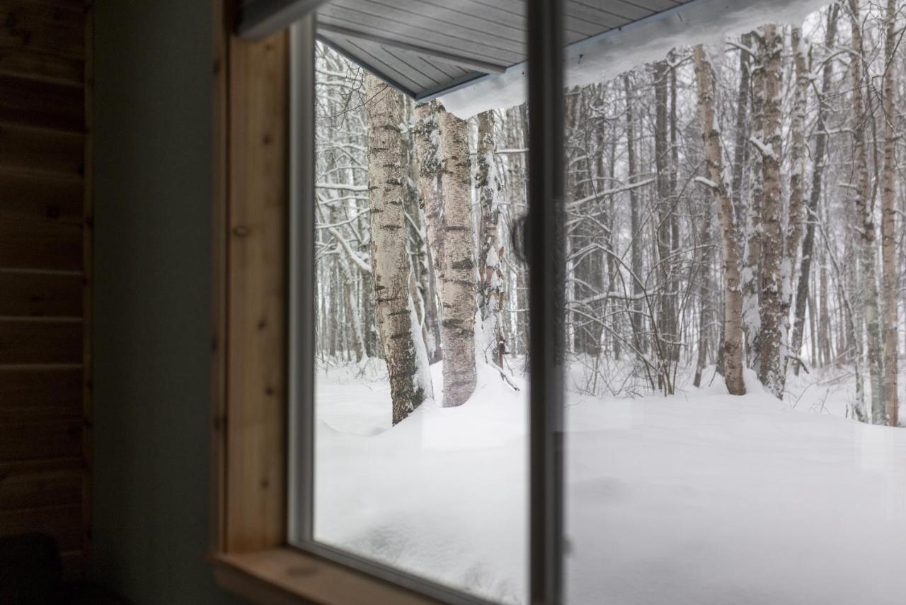 The Airstrip - South Taxiway - Bed and Breakfast Talkeetna