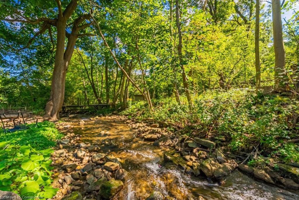 Licensed-8 Acre Estate, Trail & Stream with 3 Beds - Ferienwohnung Hamilton