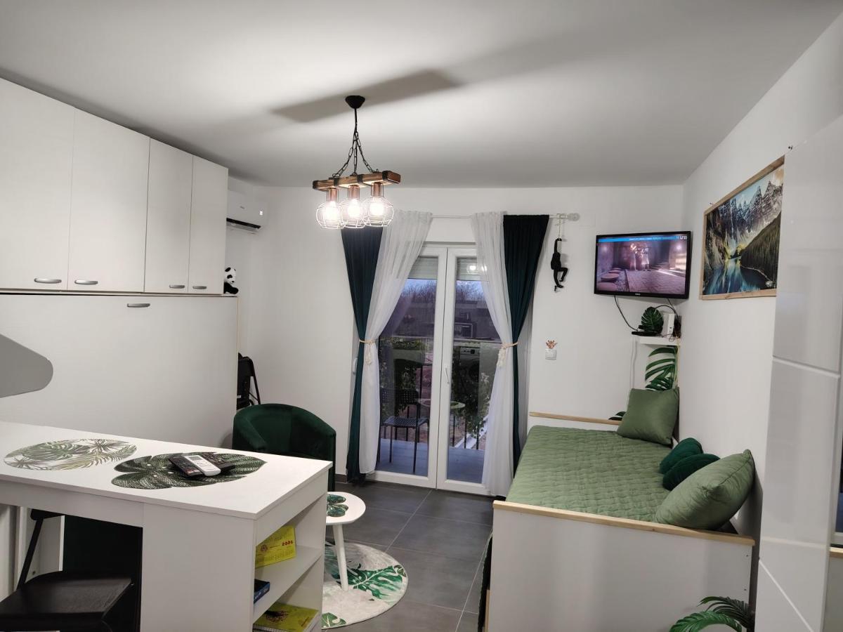 Jungle Srebrno Jezero - B&B Veliko Gradište