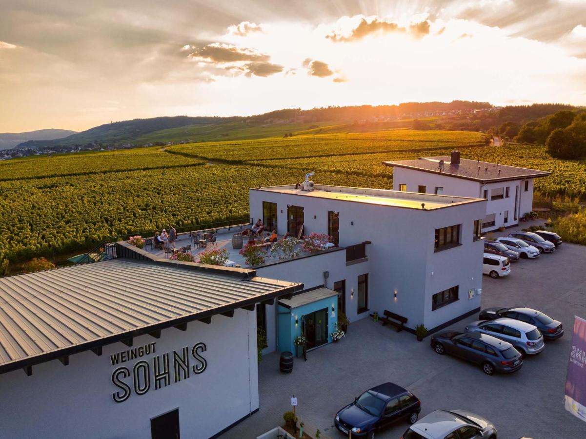 FERIENWOHNUNG in den Weinbergen WEINGUT SOHNS - Ferienwohnung Geisenheim