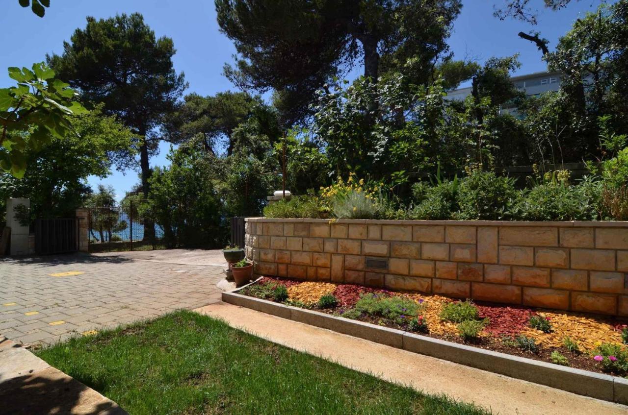 Apartment in Petrcane - Zadar Riviera 7908 - B&B Petrcane