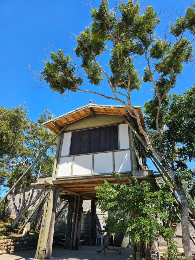 Cabana da Árvore - B&B Cabo Frio