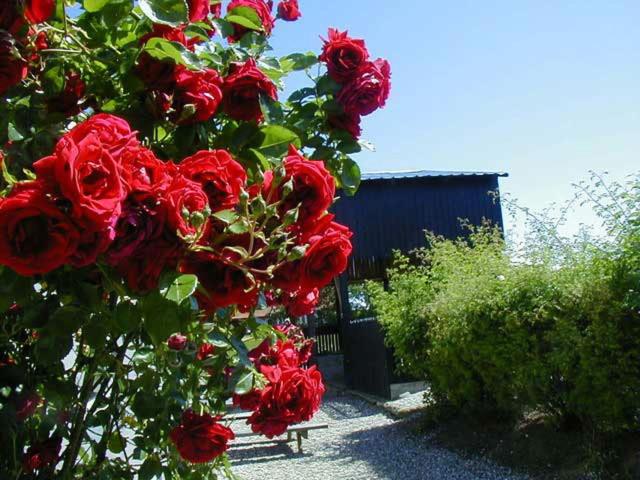 Vejskrækgården - Chambres d’hôtes