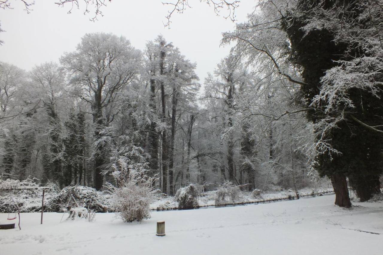 Pension Markgrafenmühle - Ferienwohnung Cottbus