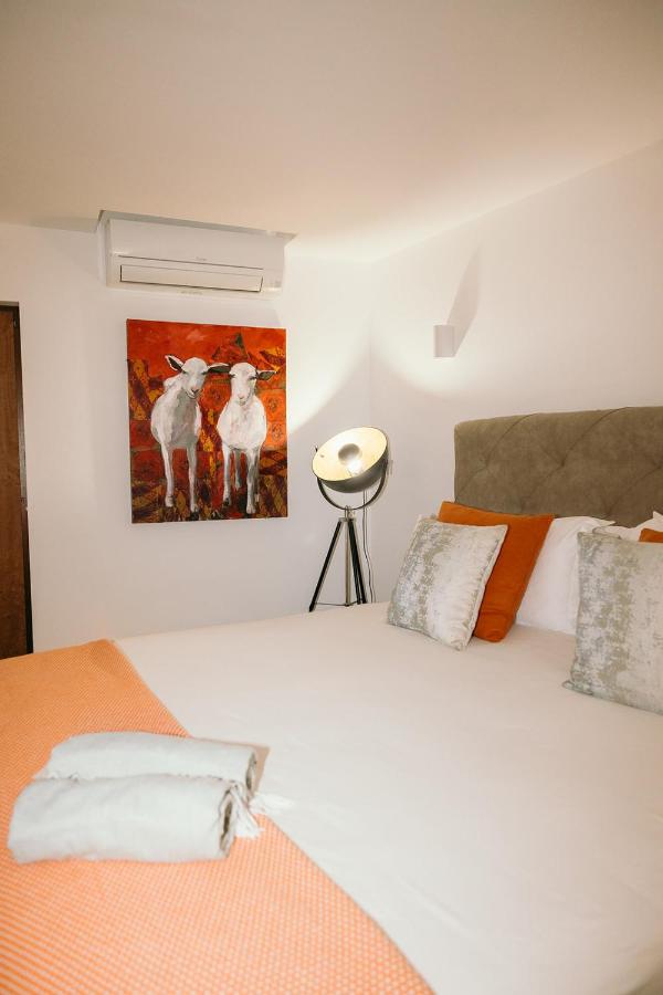 Camera King Superior 