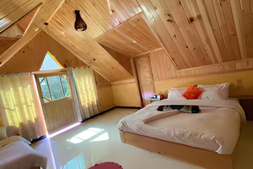 Cozy cottage - B&B Tikki Nilam