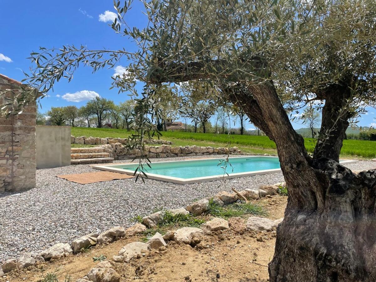 Villa dei Tigli - B&B Attigliano