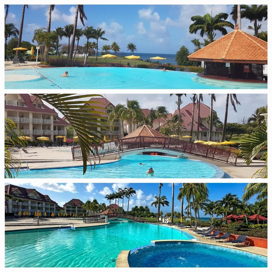 TI OASIS Dominica - Piscine et Plage Village-Club, 1 chambre 1 salon - Chambres d'hôtes Sainte-Luce