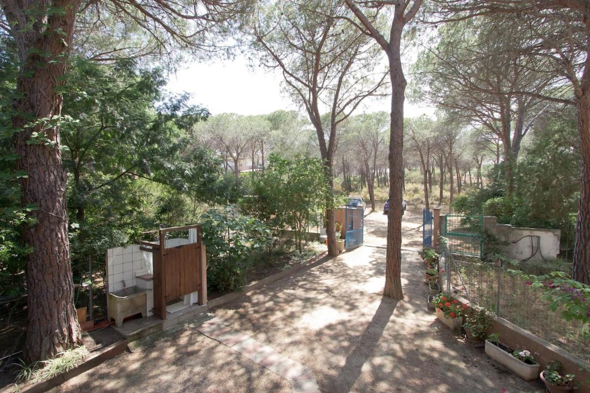 Cosy house a walk to the beach! - B&B Cala Liberotto