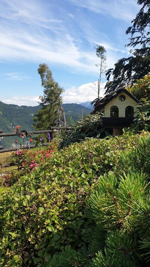 Il bosco accanto - B&B Centa San Nicolò