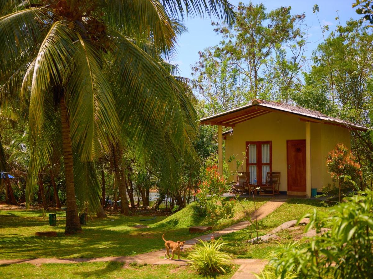 River paradise safari house - cooking class available - Chambres d'hôtes Udawalawa
