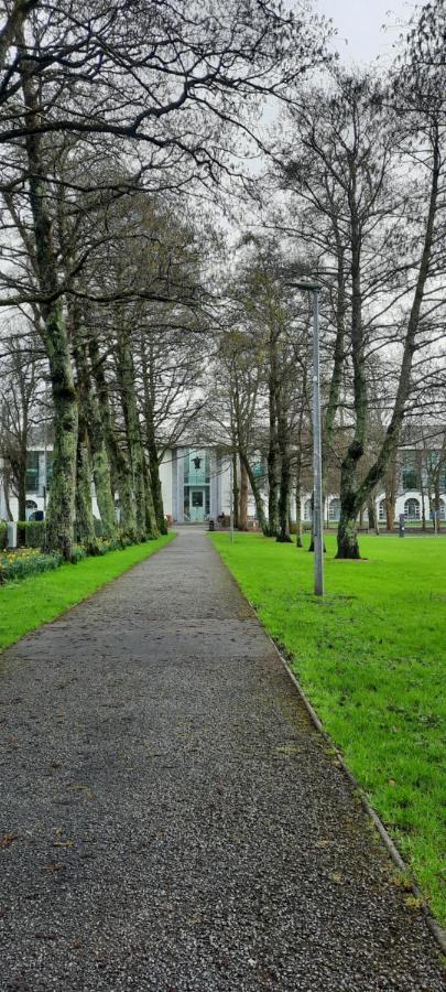 Private bedsit at Newcastle - B&B Galway