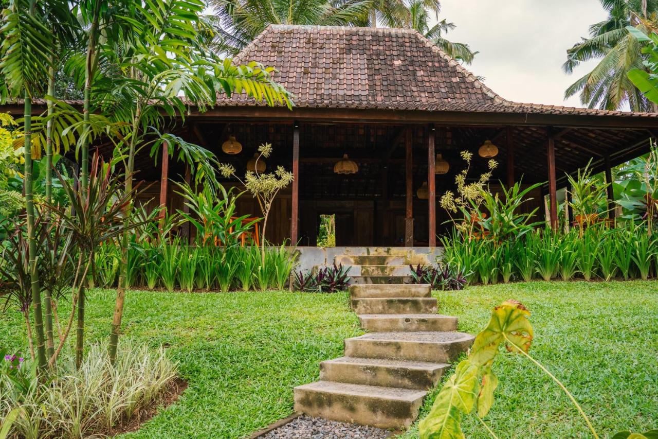 Udaka Retreat - B&B Payangan