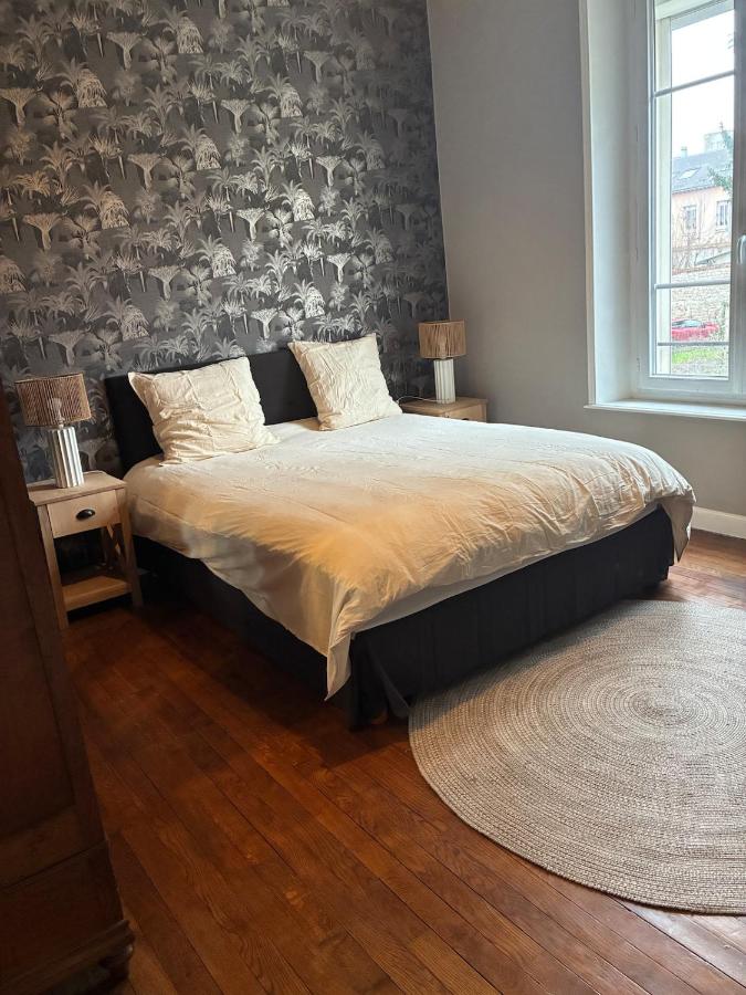 Beautiful 2 bedroom apartment - prime location - Chambres d’hôtes Reims