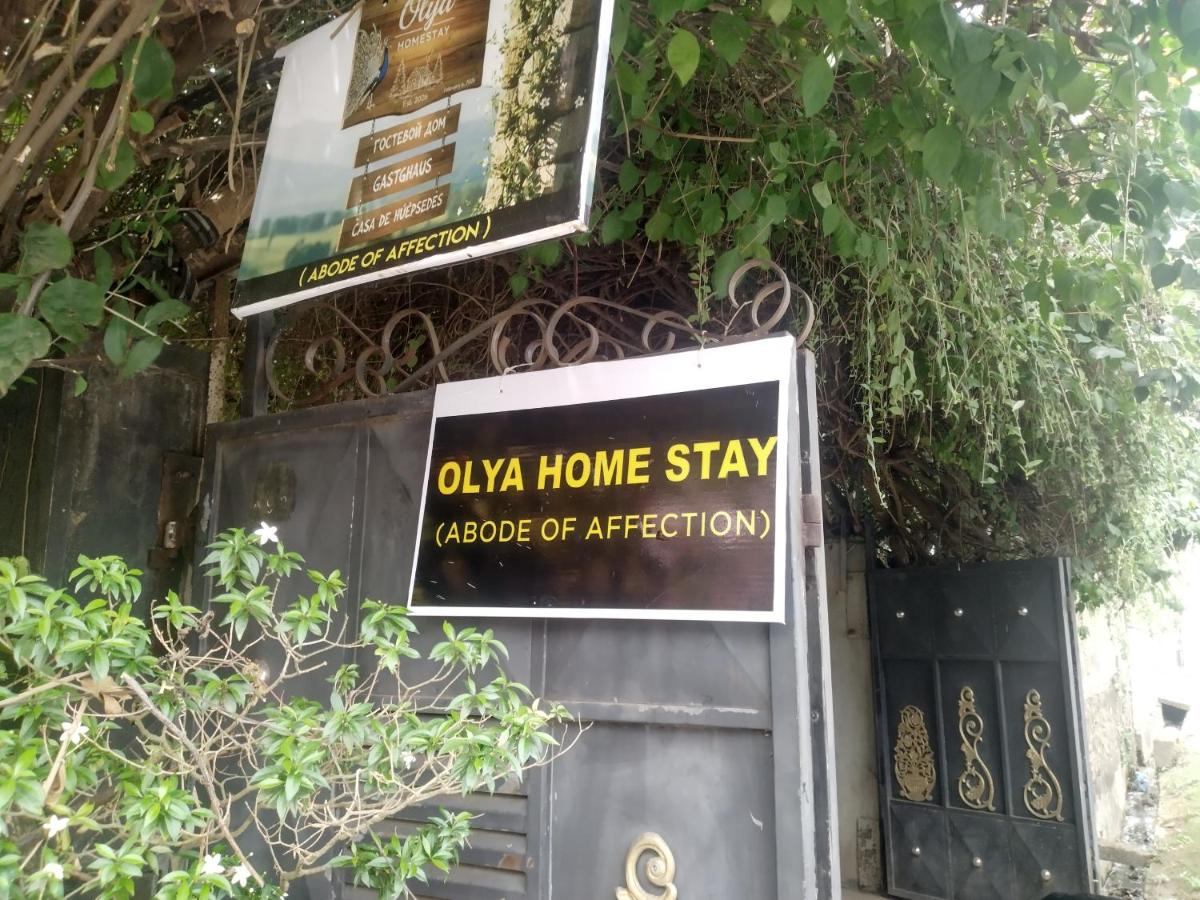 Olya home stay