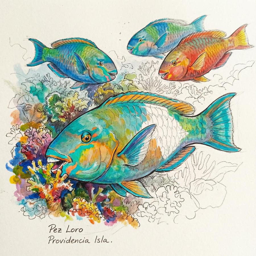 Frente al mar APARTO STUDIO BLUE LIZARD - B&B Providencia