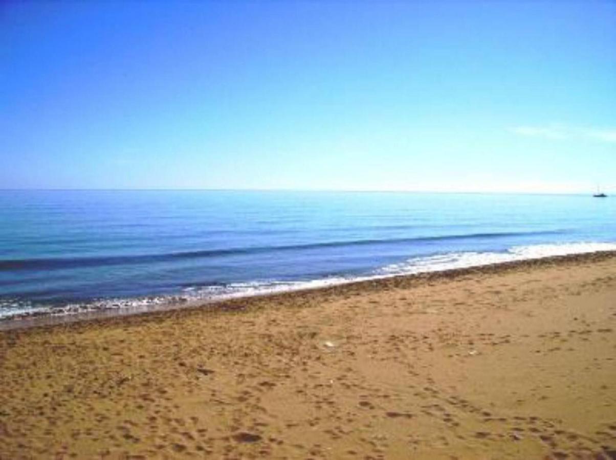 Apartment in a villa with a relaxing pool - B&B Santa Maria del Focallo