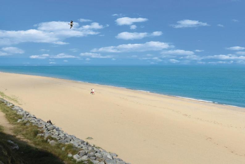 Blue Curlew - Bed and Breakfast Scratby