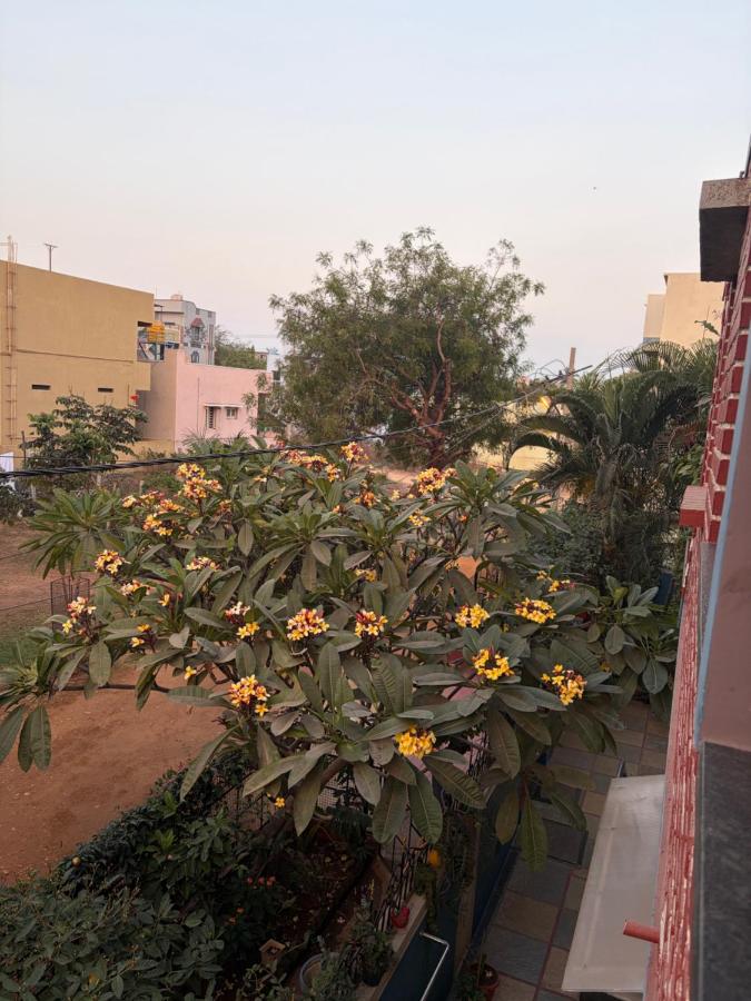Mango Tree Homestay - B&B Hampi