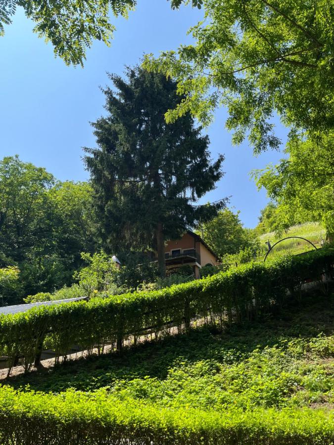 Rokova Dolina - B&B Draganovac