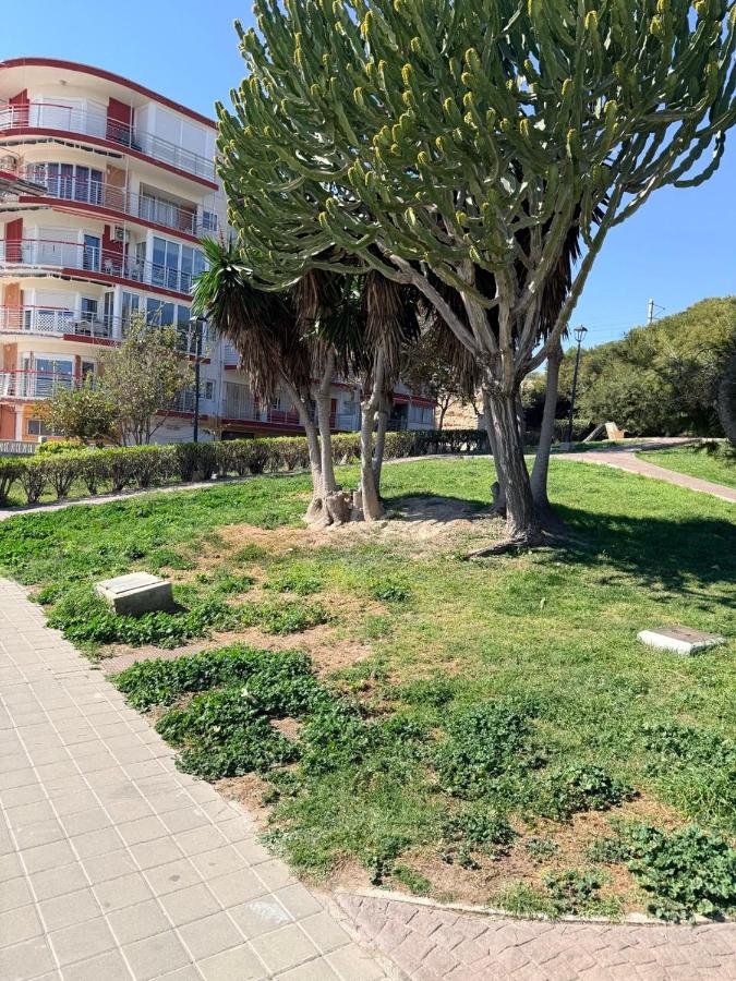 50 pasos hacia el mar - Chambres d’hôtes El Campello