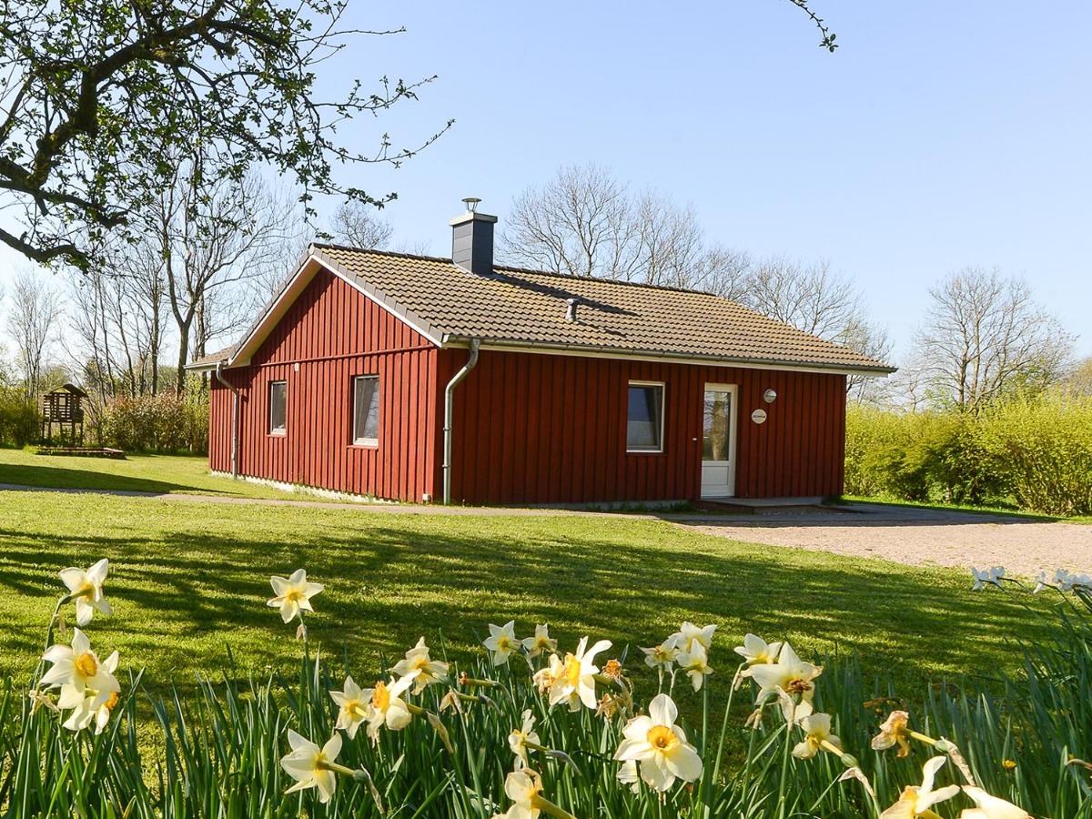 Lachmöwe - Chambres d'hôtes Munkbrarup