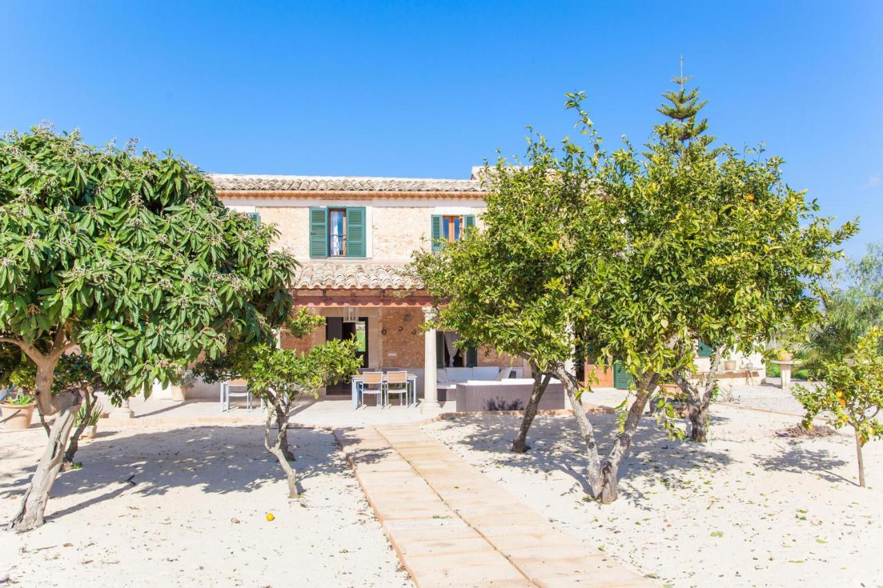 Son Nadal - Ferienwohnung Costitx
