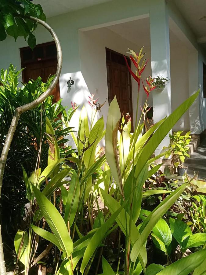 Green Park Haven Villa - 3BR -1AC - 2Non-AC with Fans - B&B Hikkaduwa