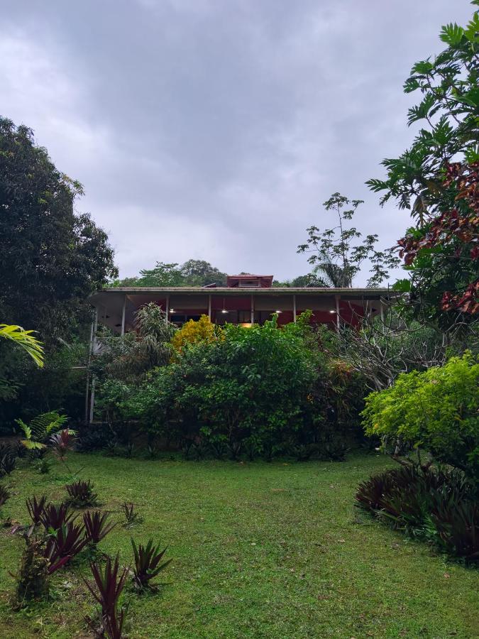 Conchy Tonk - B&B Bocas del Toro