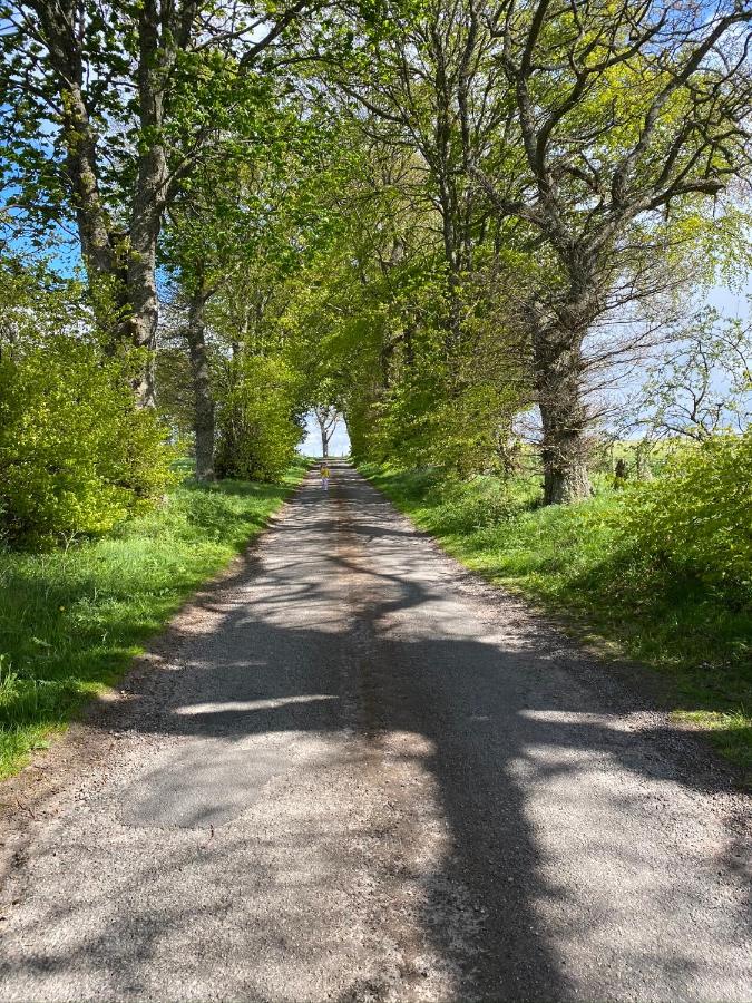 Druid House Lodge - B&B Inverness