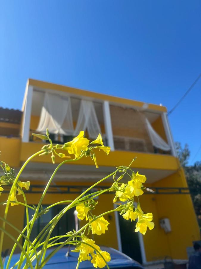 Το σπίτι της μέλισσας 1 - B&B Tyrós
