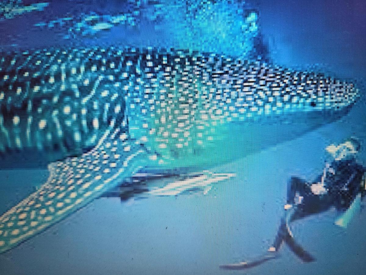 ROYAL VILLAGE inn Dhangethi Maldives - Chambres d’hôtes Dhangethi