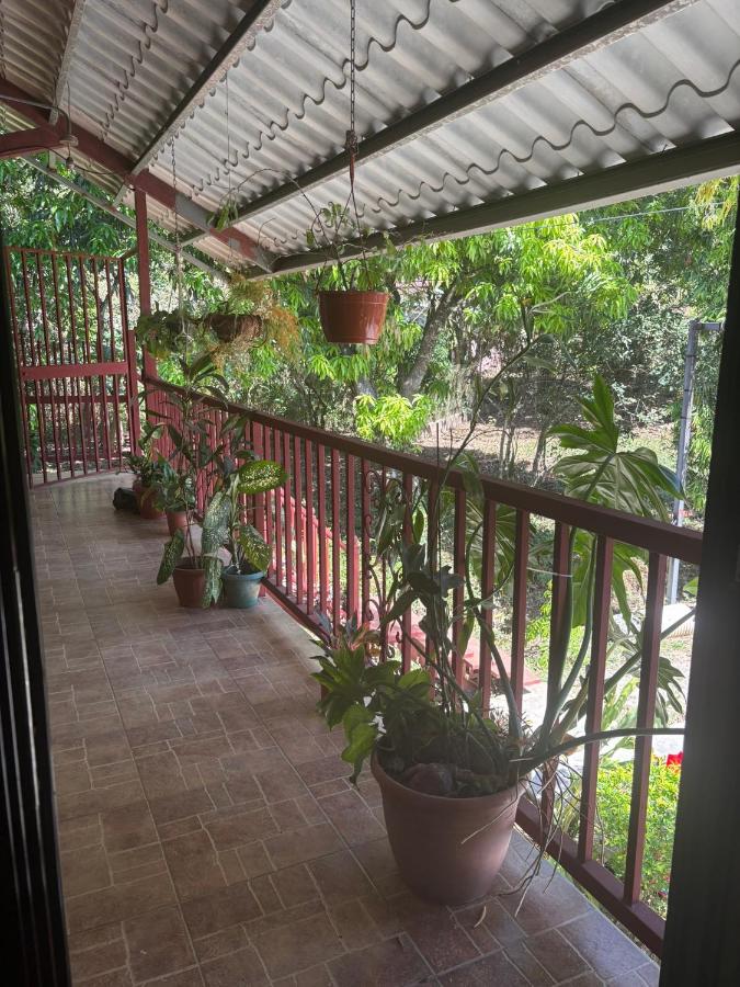 Residencial De Rosas - B&B La Cruz de los Reyes