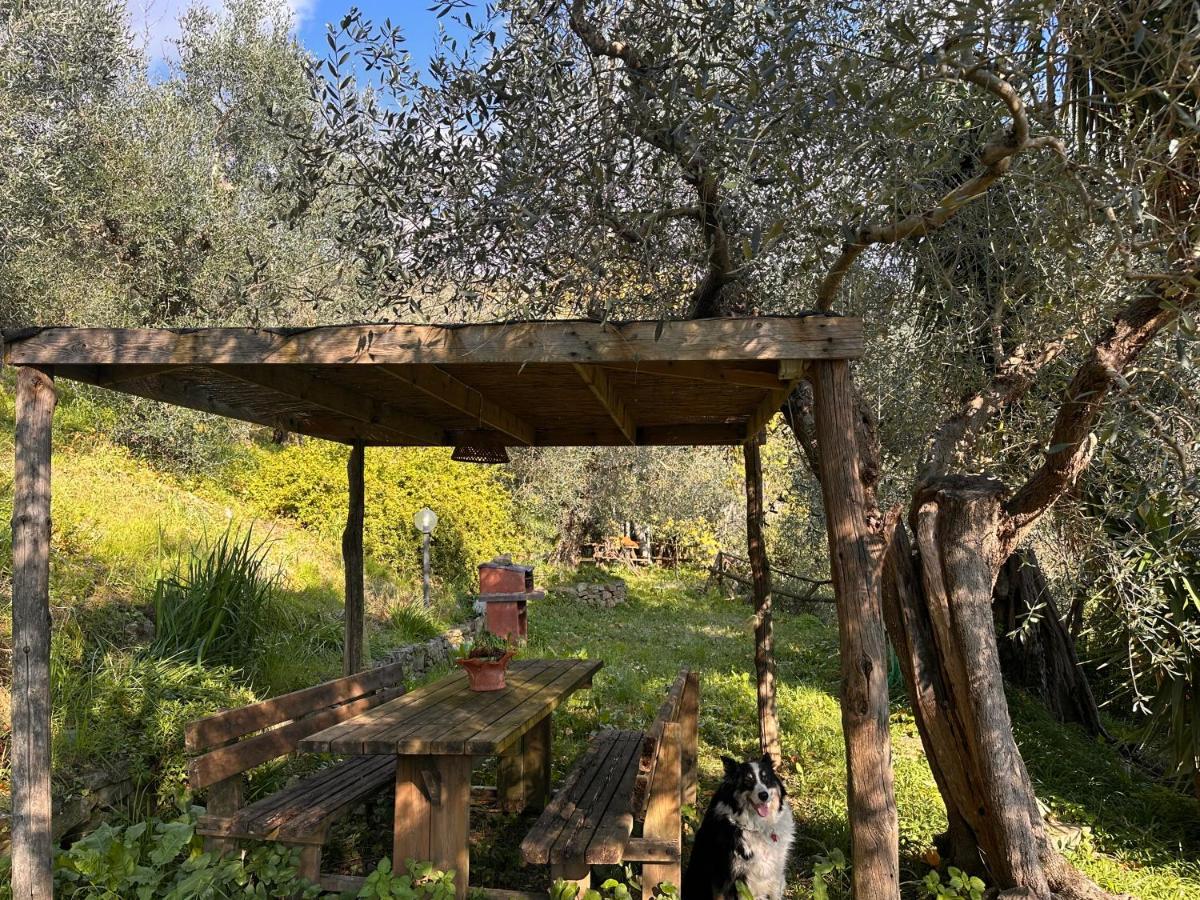 Podere Val di Vico - B&B Pieve